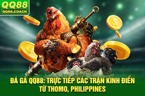 Đá Gà QQ88: Trực Tiếp Các Trận Kinh Điển Từ Thomo, Philippines