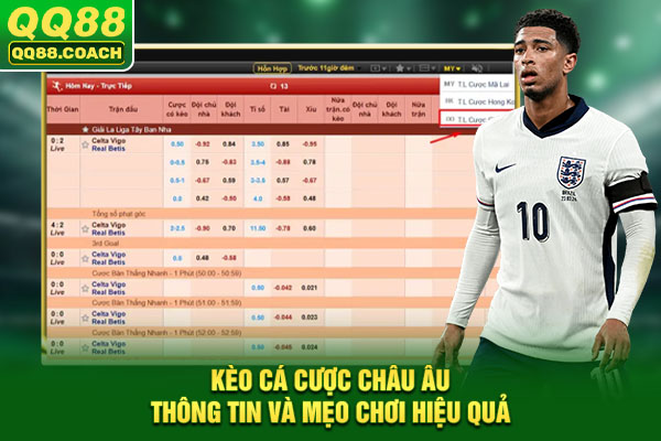 Kèo Cá Cược Châu Âu: Thông Tin Và Mẹo Chơi Hiệu Quả